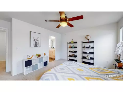 449 Ptarmigan St, Severance, CO 80550 photo 29