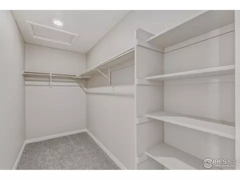 1729 Floret Dr, Windsor, CO 80550 photo 21
