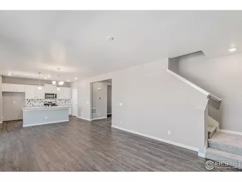 1729 Floret Dr, Windsor, CO 80550 photo 10