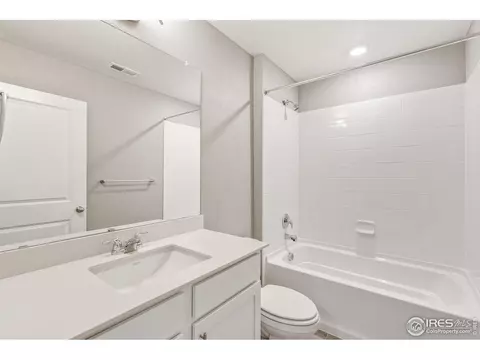 1729 Floret Dr, Windsor, CO 80550 photo 19