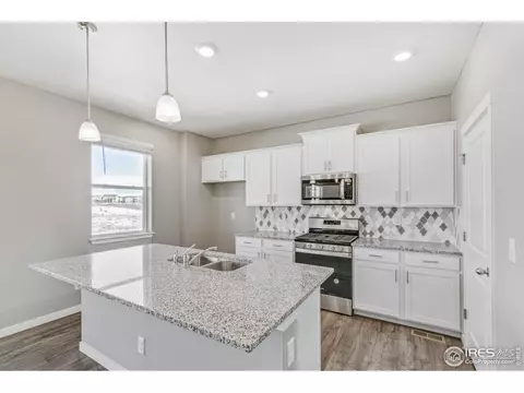 1729 Floret Dr, Windsor, CO 80550 photo 4