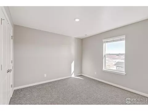 1729 Floret Dr, Windsor, CO 80550 photo 17