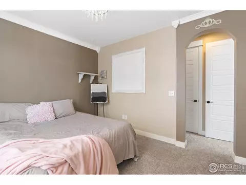 5513 Fairmount Dr, Windsor, CO 80550 photo 15