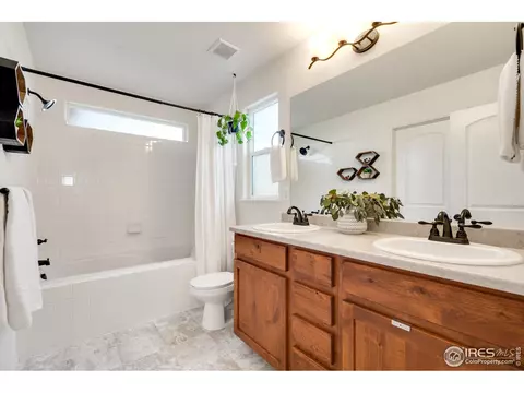 820 Mt Sneffels Ave, Windsor, CO 80550 photo 17
