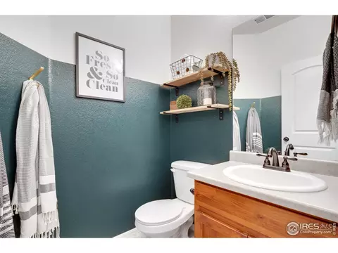 820 Mt Sneffels Ave, Windsor, CO 80550 photo 16