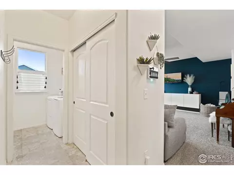 820 Mt Sneffels Ave, Windsor, CO 80550 photo 14