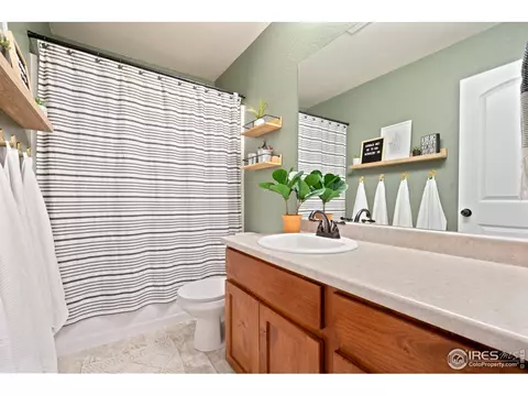 820 Mt Sneffels Ave, Windsor, CO 80550 photo 23