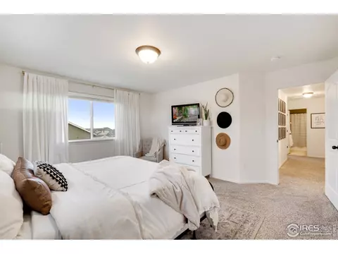 820 Mt Sneffels Ave, Windsor, CO 80550 photo 19