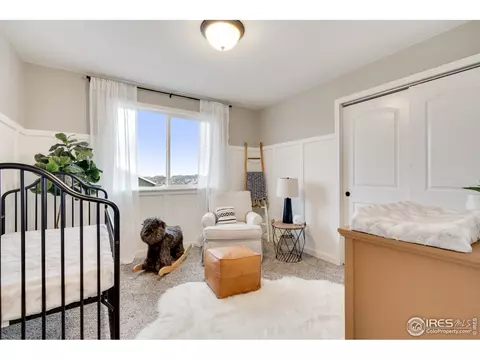 820 Mt Sneffels Ave, Windsor, CO 80550 photo 20