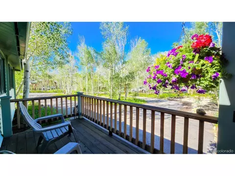 604 Silverheels Cir, Fairplay, CO 80440 photo 28