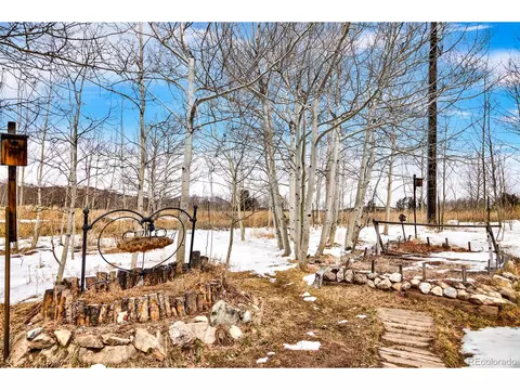 604 Silverheels Cir, Fairplay, CO 80440 photo 38