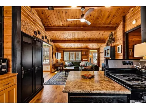604 Silverheels Cir, Fairplay, CO 80440 photo 6
