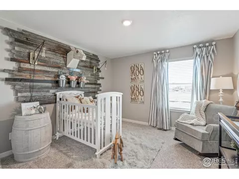 1273 Wild Basin Rd, Windsor, CO 80550 photo 29
