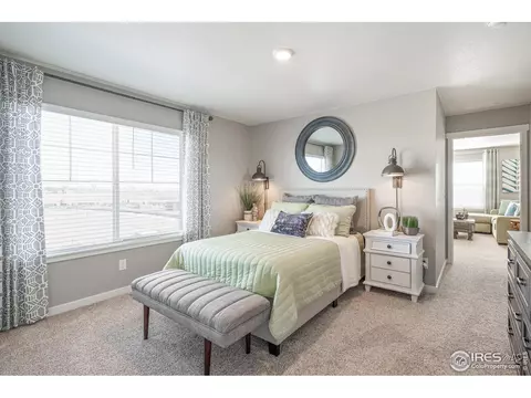 1273 Wild Basin Rd, Windsor, CO 80550 photo 25