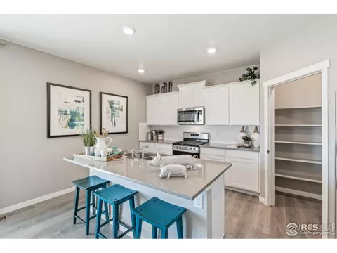 1273 Wild Basin Rd, Windsor, CO 80550 photo 13