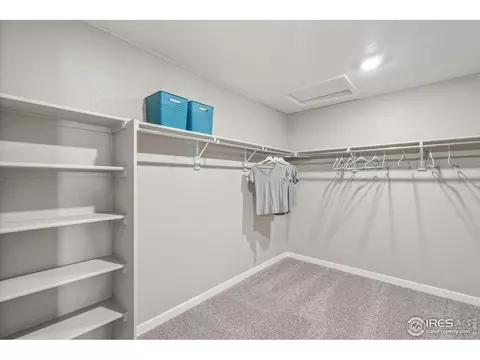 1273 Wild Basin Rd, Windsor, CO 80550 photo 30