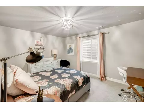 5567 Bexley Dr, Windsor, CO 80550 photo 21