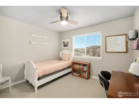 5567 Bexley Dr, Windsor, CO 80550 photo 16