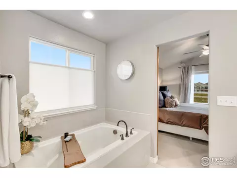 5567 Bexley Dr, Windsor, CO 80550 photo 15