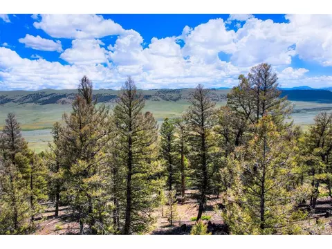 262 Middle Fork Vis, Fairplay, CO 80440