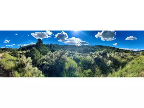 Forbes Road, Fort Garland, CO 81133