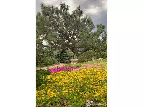 107 Boulder View Ln, Boulder, CO 80304 photo 36