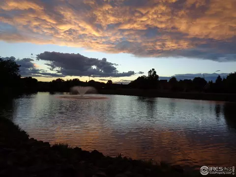 142 Bayside Cir, Windsor, CO 80550 photo 39