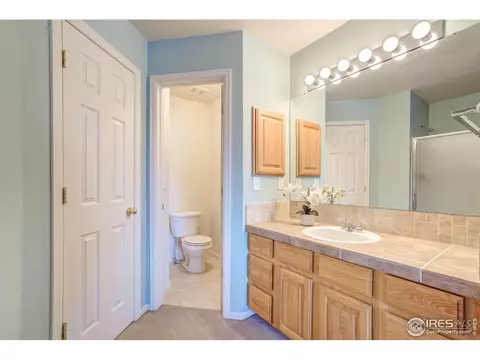 142 Bayside Cir, Windsor, CO 80550 photo 18