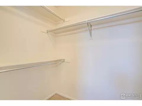 142 Bayside Cir, Windsor, CO 80550 photo 25