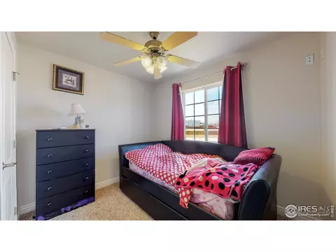 582 Dakota Ct, Windsor, CO 80550 photo 18