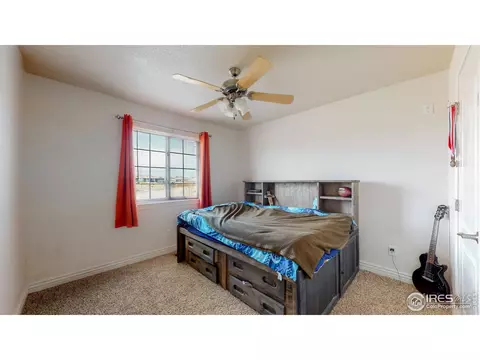 582 Dakota Ct, Windsor, CO 80550 photo 19