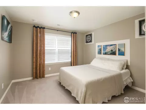 2179 Longfin Dr, Windsor, CO 80550 photo 23