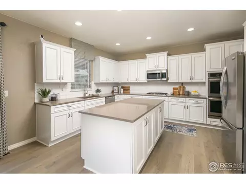 2179 Longfin Dr, Windsor, CO 80550 photo 12