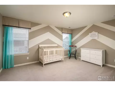2179 Longfin Dr, Windsor, CO 80550 photo 27