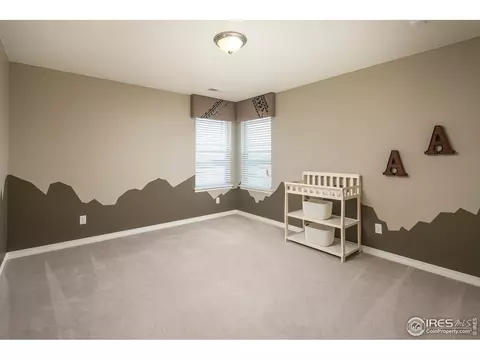 2179 Longfin Dr, Windsor, CO 80550 photo 24