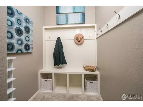 2179 Longfin Dr, Windsor, CO 80550 photo 14