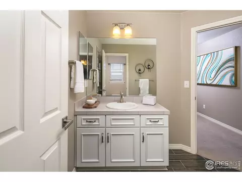 2179 Longfin Dr, Windsor, CO 80550 photo 25