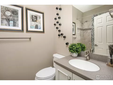 2179 Longfin Dr, Windsor, CO 80550 photo 15