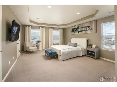 2179 Longfin Dr, Windsor, CO 80550 photo 19