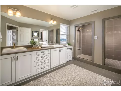 2179 Longfin Dr, Windsor, CO 80550 photo 21