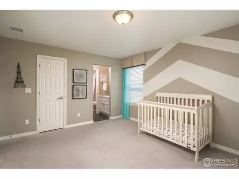 2179 Longfin Dr, Windsor, CO 80550 photo 28