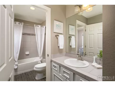 2179 Longfin Dr, Windsor, CO 80550 photo 26