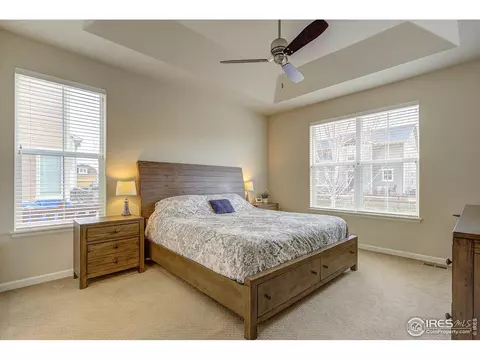 6760 Rainier Rd, Timnath, CO 80547 photo 14