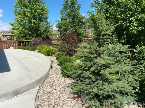 6760 Rainier Rd, Timnath, CO 80547 photo 32
