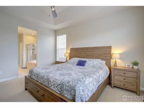 6760 Rainier Rd, Timnath, CO 80547 photo 17