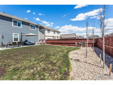 1509 First Light Dr, Windsor, CO 80550 photo 34