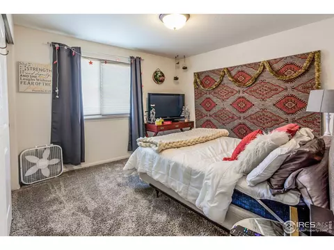 1509 First Light Dr, Windsor, CO 80550 photo 29