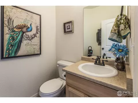 1509 First Light Dr, Windsor, CO 80550 photo 23
