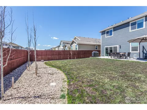 1509 First Light Dr, Windsor, CO 80550 photo 36