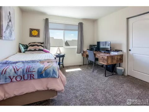 1509 First Light Dr, Windsor, CO 80550 photo 26